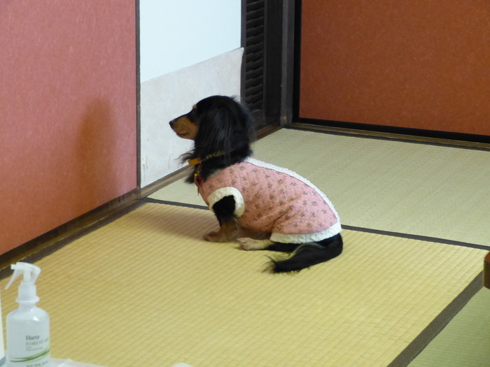 f0287487_18365560.jpg