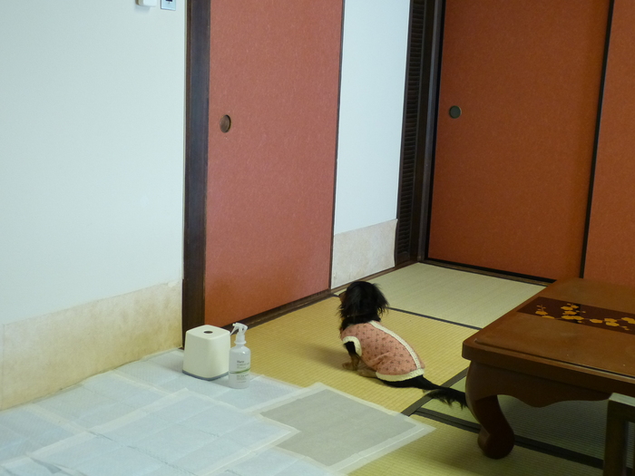f0287487_18381250.jpg