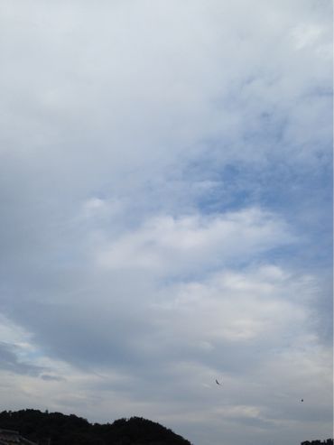 f0298891_1801690.jpg