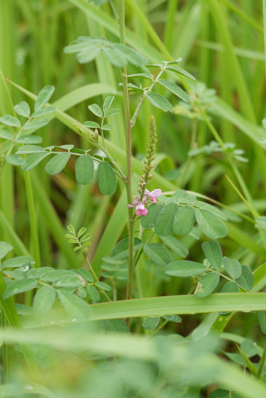 f0222692_1412350.jpg