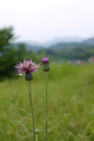 f0222692_1495384.jpg