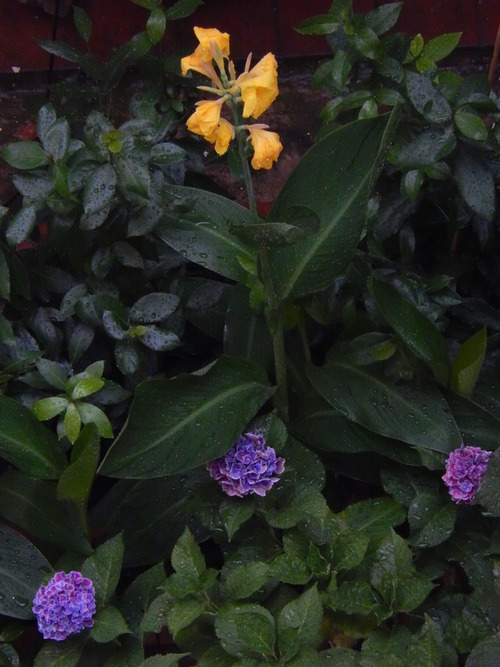 e0203793_21404170.jpg