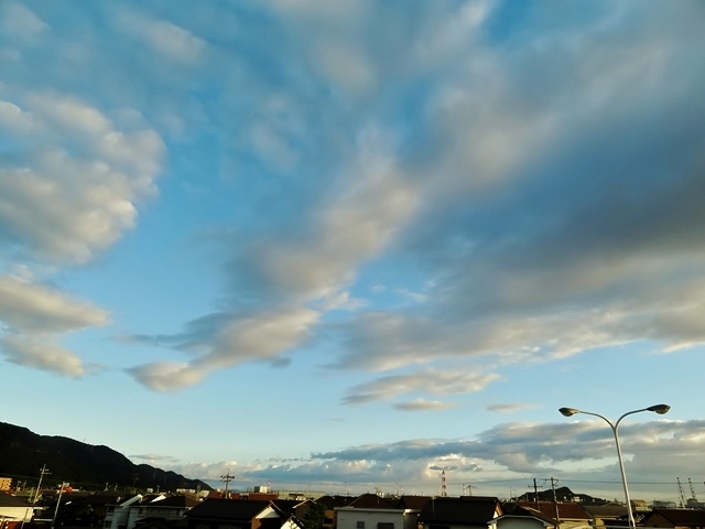 c0247096_17593372.jpg