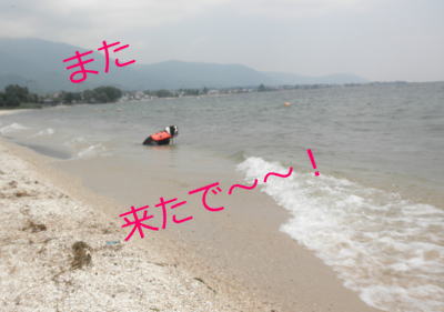 f0082396_22202969.jpg
