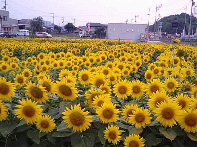 f0231709_184595.jpg