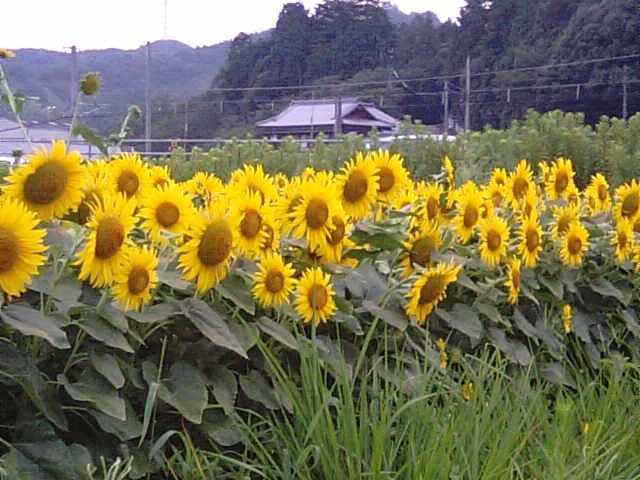 f0231709_18465261.jpg