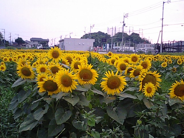 f0231709_18471949.jpg