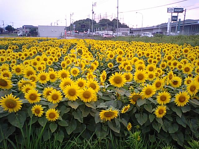 f0231709_18475590.jpg