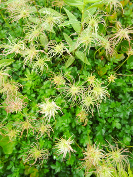 b0244811_7514297.jpg