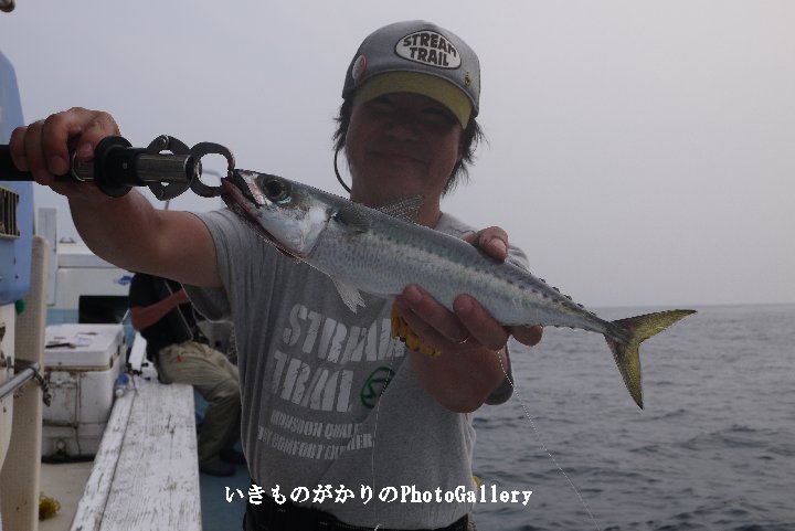 c0021113_1523257.jpg