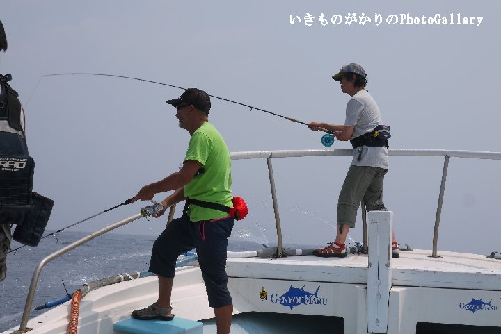 c0021113_1583529.jpg