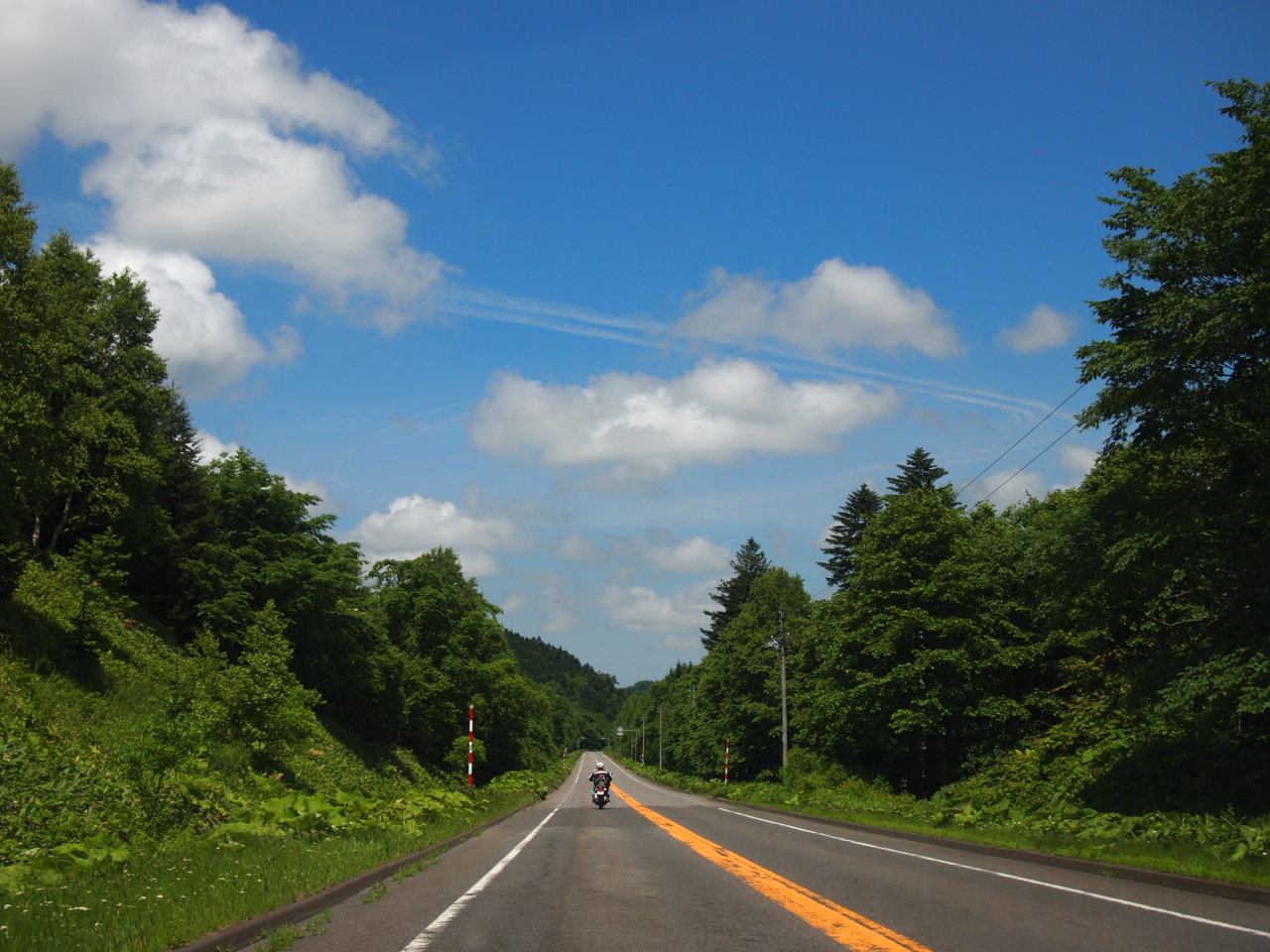 d0169613_7385622.jpg