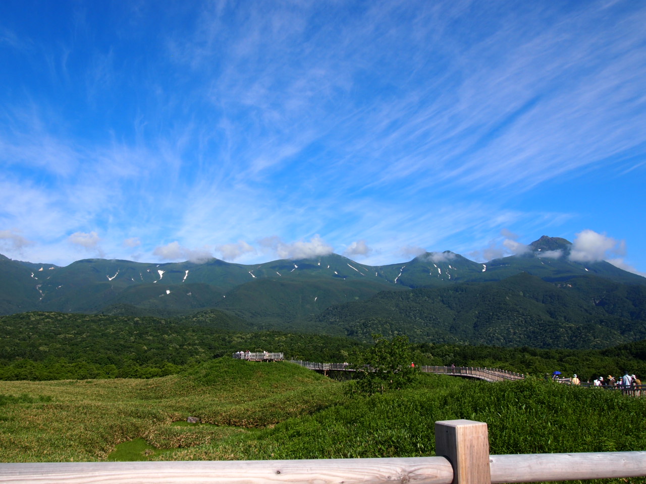 d0169613_8344772.jpg