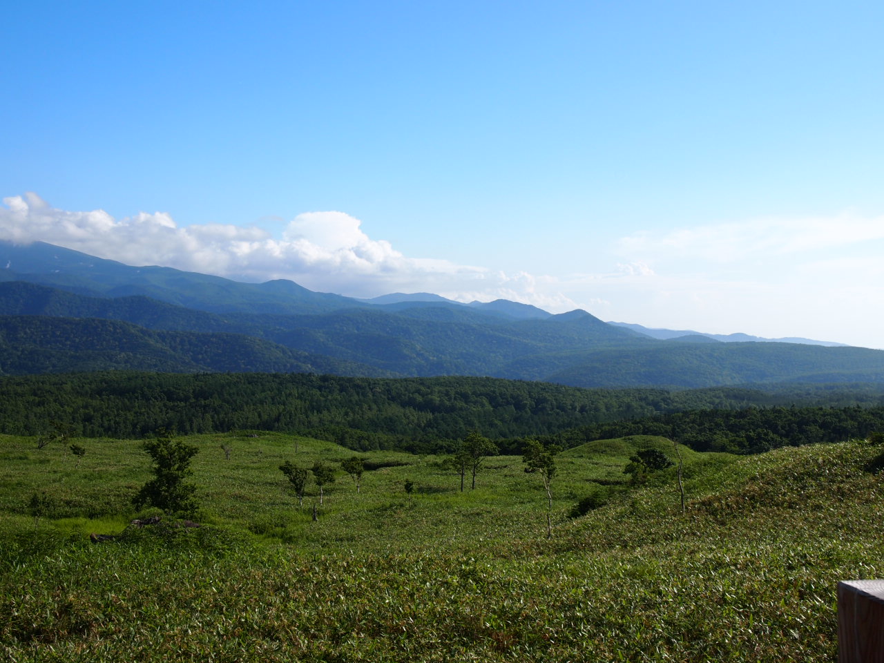 d0169613_8352341.jpg