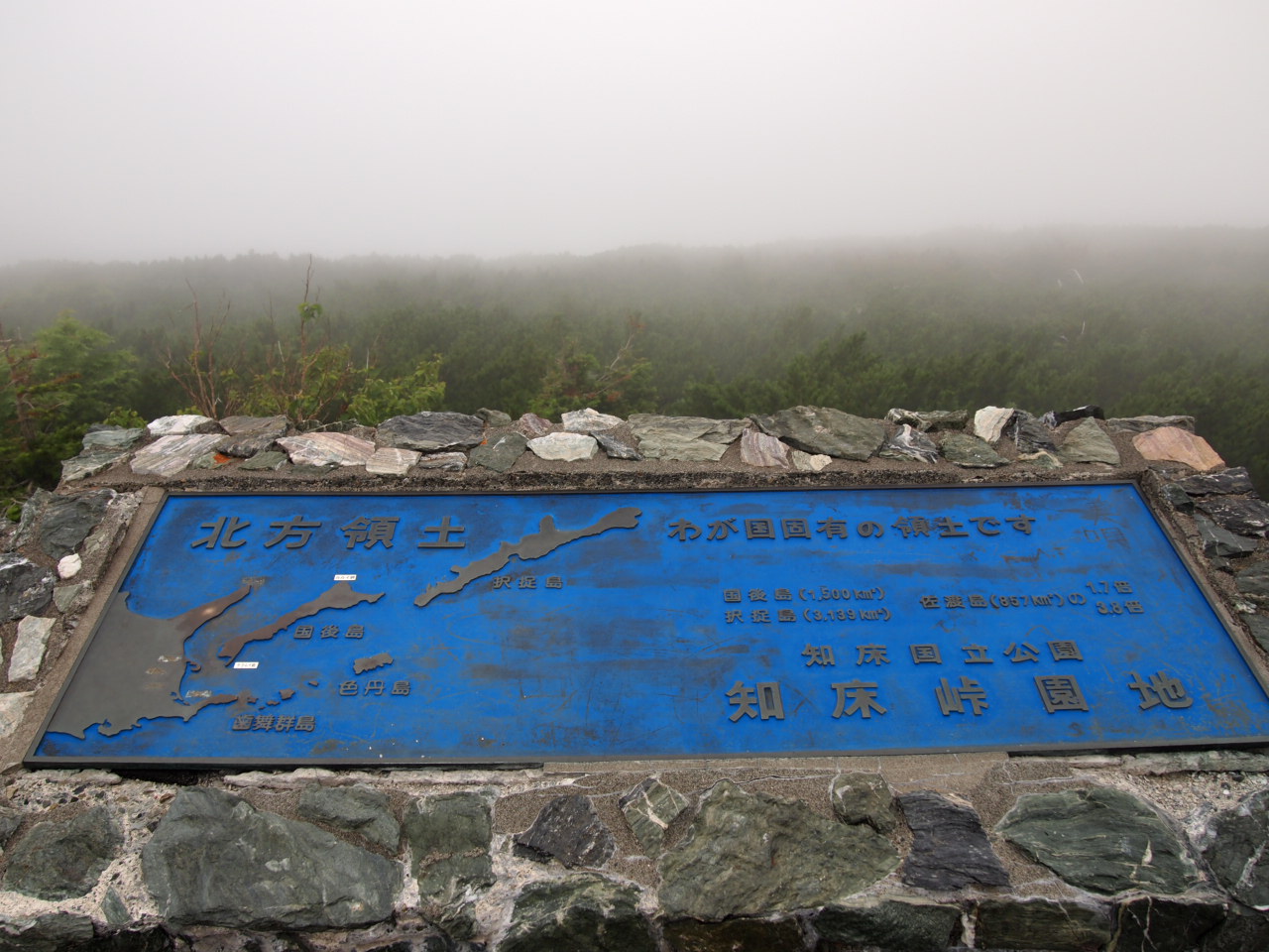 d0169613_8383124.jpg