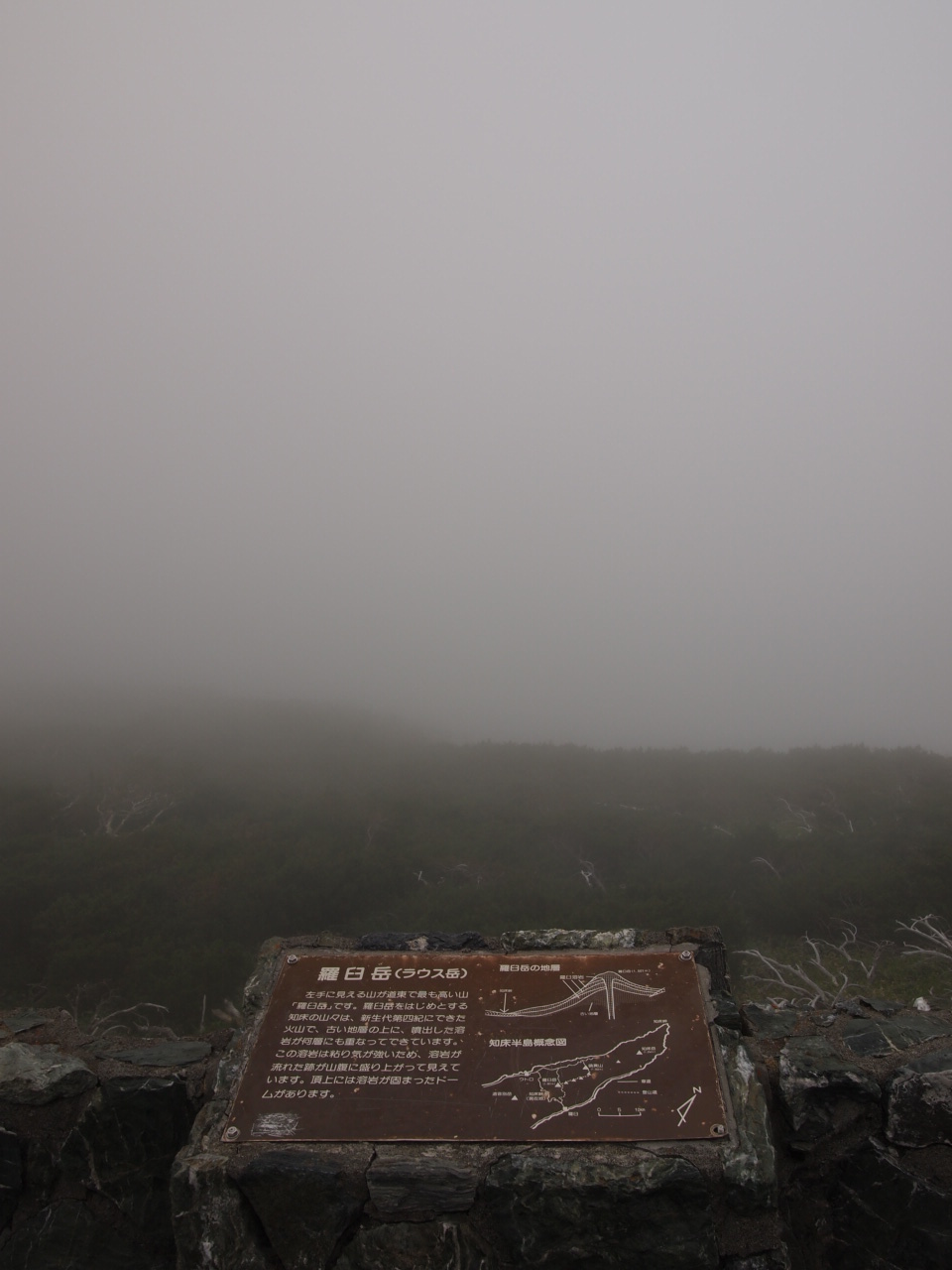 d0169613_8385380.jpg