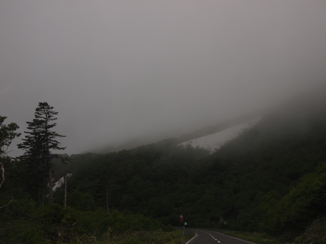 d0169613_839787.jpg
