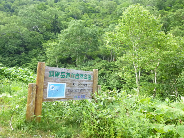 d0170615_19475820.jpg