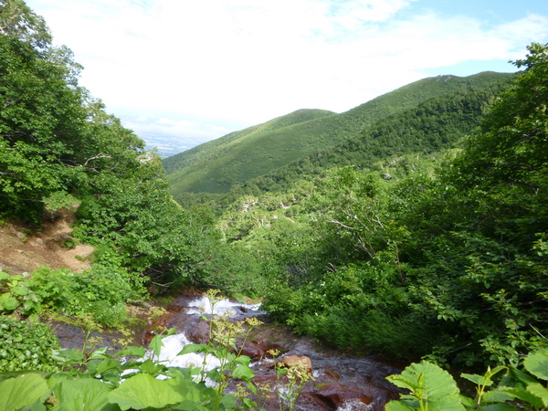 d0170615_1948533.jpg