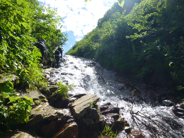 d0170615_19492018.jpg