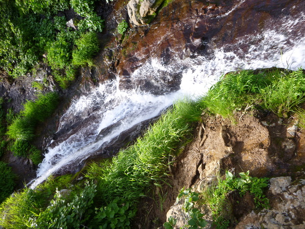 d0170615_1949491.jpg
