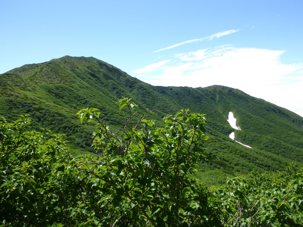 d0170615_1951526.jpg