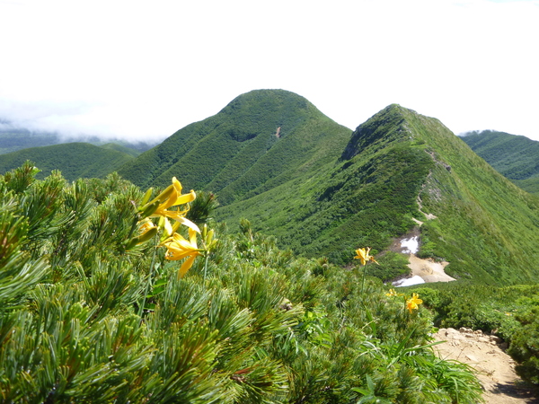 d0170615_19521050.jpg