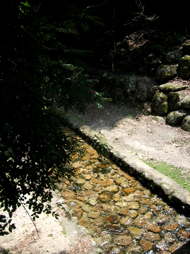 a0225827_21444535.jpg