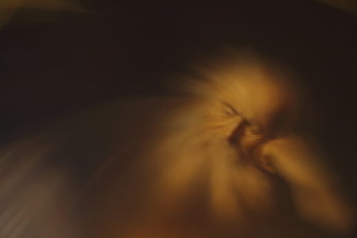 e0311229_1392586.jpg
