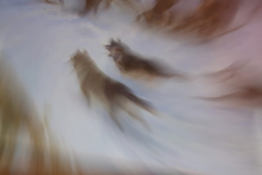 e0311229_140474.jpg