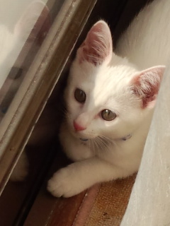a0013236_334436.jpg