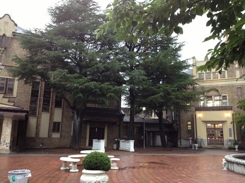 d0174536_21405851.jpg
