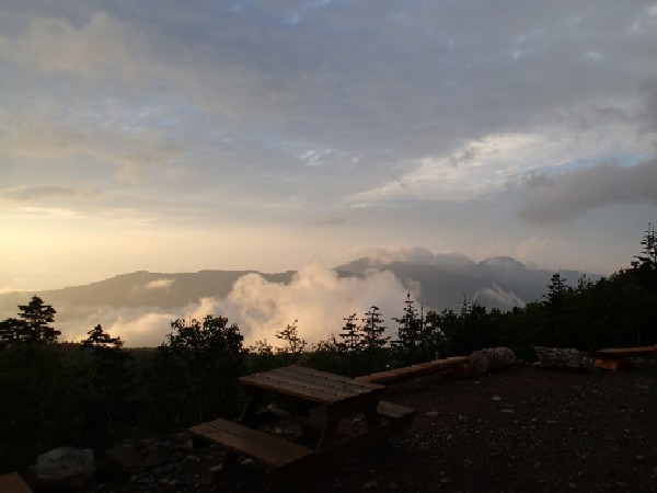 d0107938_1158133.jpg