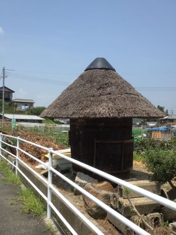 a0116442_2311589.jpg