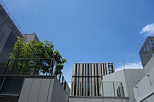 e0080345_8215161.jpg