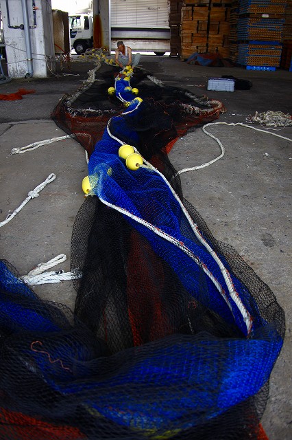 f0288049_7543732.jpg