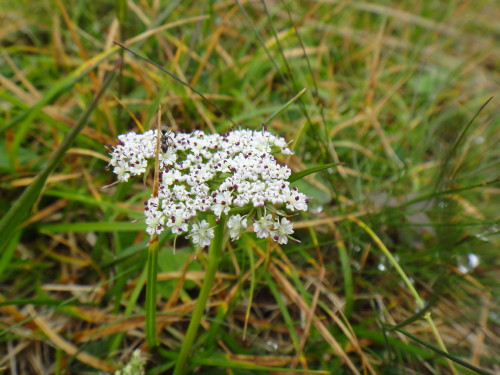 c0179351_9223675.jpg