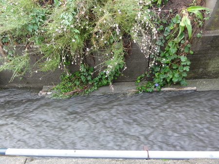 c0108460_15532997.jpg
