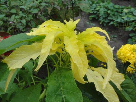 c0108460_15553584.jpg