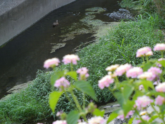 f0297861_20154710.jpg