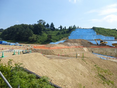 b0096463_11213368.jpg