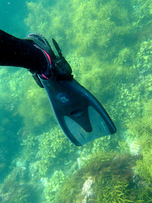 c0122670_21465044.jpg