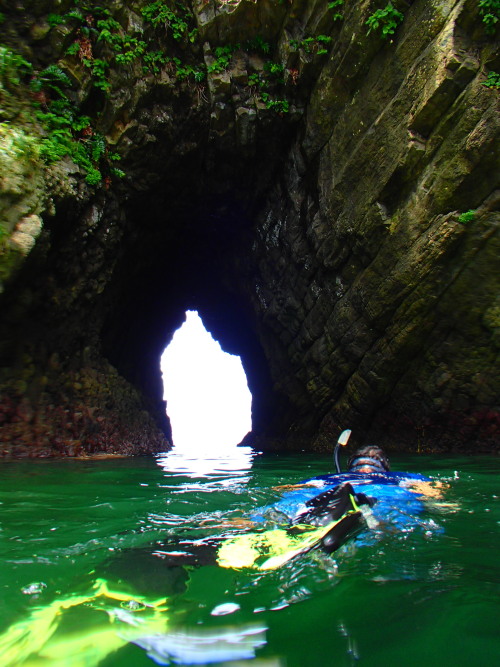 c0122670_2157865.jpg