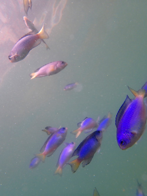 c0122670_2214309.jpg