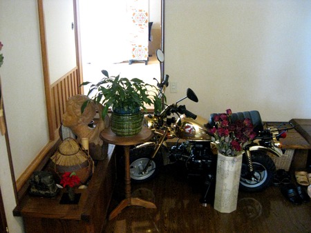 e0081170_54327.jpg