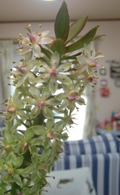 e0263072_9283276.jpg