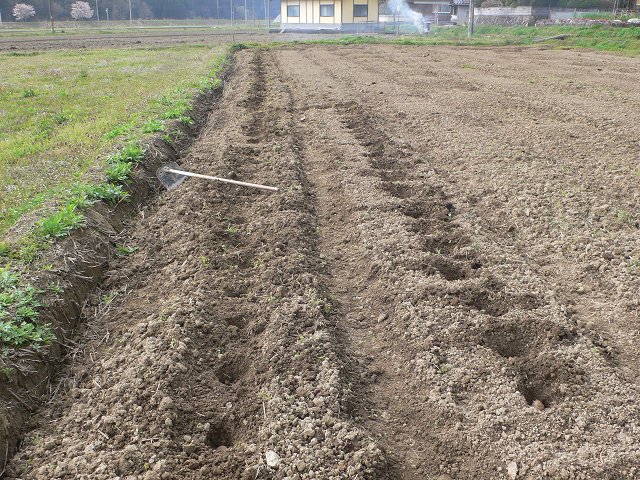 b0042882_0142428.jpg