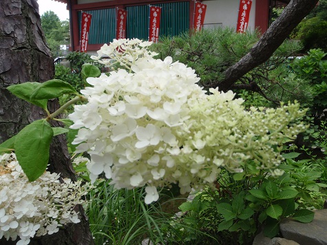 b0225187_1205246.jpg