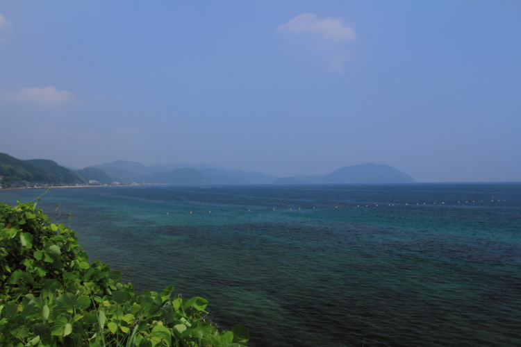 e0051888_612252.jpg