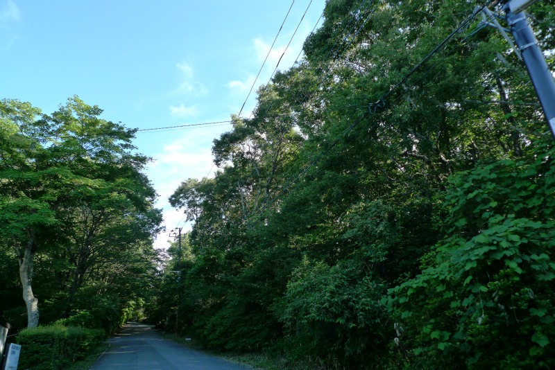 a0127090_21211876.jpg